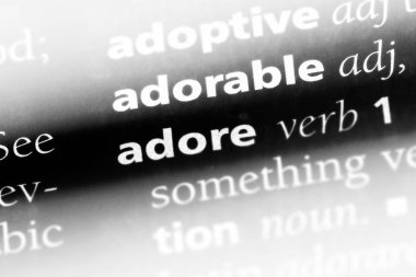 Sözlüğe kelime tapıyorum. kavram tapıyorum.