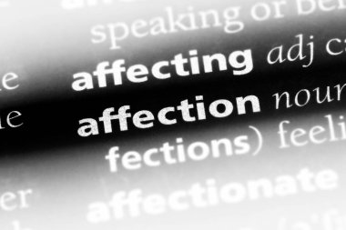 sevgi sözcüğü sözlüğe. sevgi kavramı.