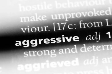 agresif tek kelimeyle bir sözlük. agresif kavramı.