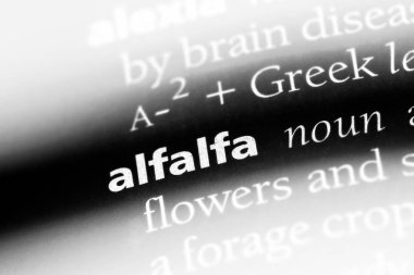 yonca Word'de bir sözlük. yonca kavramı.