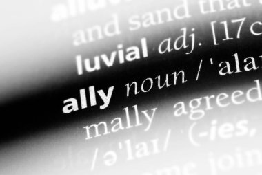 bir sözlüğü'ndeki sözcüğü ally. Ally kavramı.