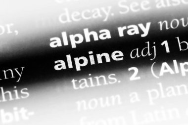 alp tek kelimeyle bir sözlük. alp kavramı.