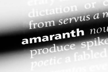 bir sözlüğü'ndeki solmayan çiçek sözcüğü. solmayan çiçek kavramı.