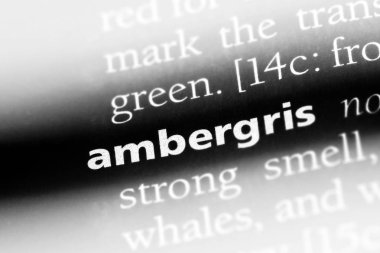 Amber Word'de bir sözlük. Amber kavramı.