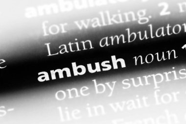 pusu Word'de bir sözlük. pusu kavramı.