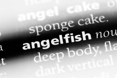 Melek Balığı Çiklit Word'de bir sözlük. Melek Balığı Çiklit kavramı.