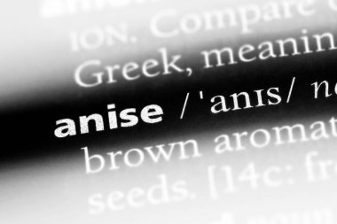 anason Word'de bir sözlük. anason kavramı.