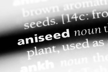 anason Word'de bir sözlük. anason kavramı.