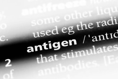antijen Word'de bir sözlük. antijen kavramı.