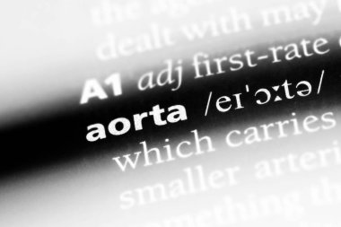 aort Word'de bir sözlük. aort kavramı.