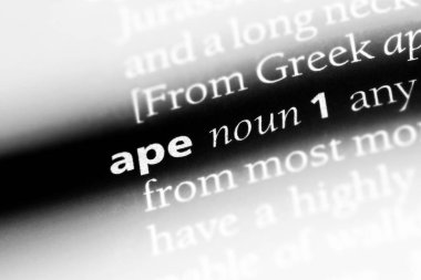 bir sözlüğü'ndeki sözcüğü maymun. maymun kavramı.