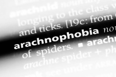Arachnophobia Word'de bir sözlük. Arachnophobia kavramı.