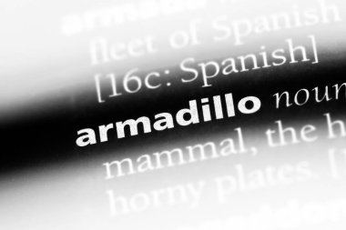 Armadillo Word'de bir sözlük. Armadillo kavramı.