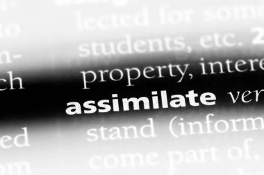 bir sözlüğü'ndeki sözcüğü özümsemek. kavramını özümsemek.