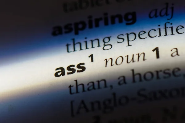 Ass Word Dictionary Ass Concept — Zdjęcie stockowe