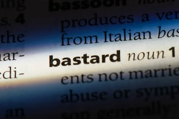 Bastard Ordet Ordbok Bastard Koncept — Stockfoto