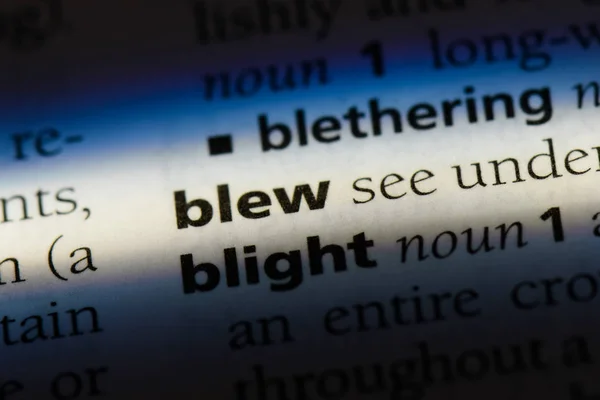 Blew Word Dictionary Blew Concept — Stock Photo, Image