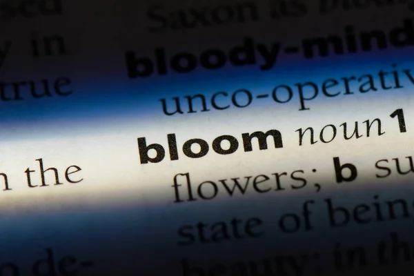 Bloom Ord Ordbok Bloom Koncept — Stockfoto