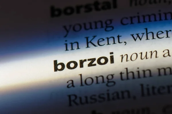 Borzoi Word Dictionary Borzoi Concept — Stock Photo, Image