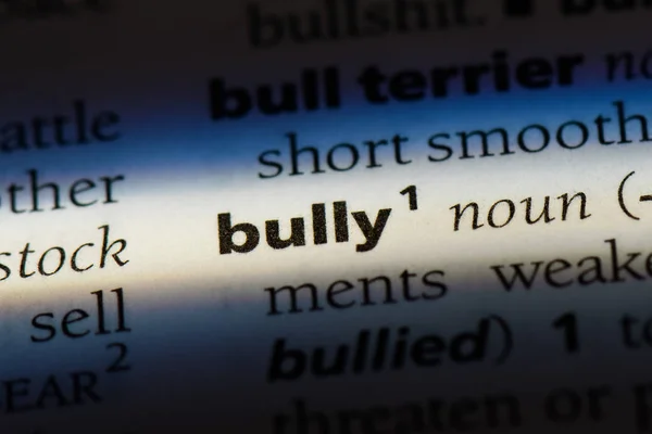 Bully Szót Szótárban Bully Koncepció — Stock Fotó