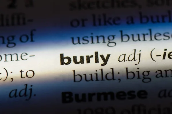 Burly Mot Dans Dictionnaire Concept Burly — Photo