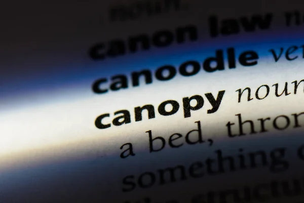 Palabra Canopy Diccionario Concepto Dosel —  Fotos de Stock