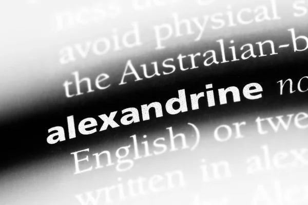 Alexandrine Słowo Słowniku Alexandrine Koncepcja — Zdjęcie stockowe