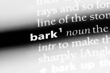 bir sözlüğü'ndeki sözcüğü kabuk. kabuk kavramı.