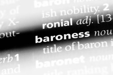 Barones Word'de bir sözlük. Barones kavramı.