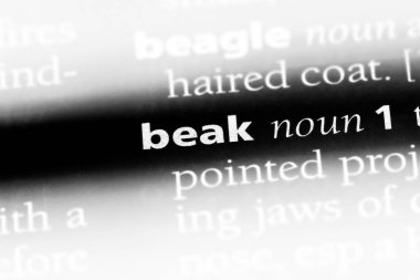 Gaga Word'de bir sözlük. Gaga kavramı.