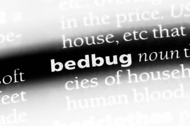 Tahtakurusu Word'de bir sözlük. Tahtakurusu kavramı.