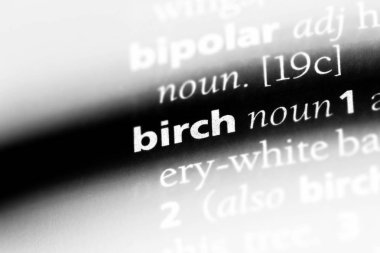 bir sözlüğü'ndeki sözcüğü huş ağacı. huş ağacı kavramı.