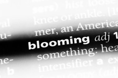 çiçek açan tek kelimeyle bir sözlük. çiçek açan kavramı.