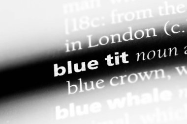 mavi baştankara Word'de bir sözlük. mavi baştankara kavramı.