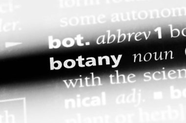 Botanik Word'de bir sözlük. Botanik kavramı.