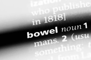 Sözlükte bağırsak kelimesi. bağırsak konsepti.