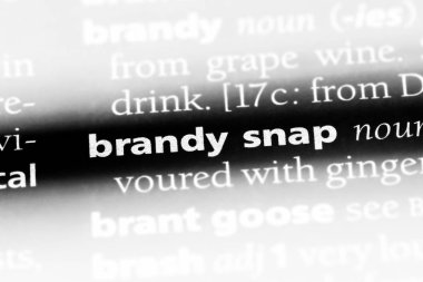 Brandy ek Word'de bir sözlük. Brandy ek kavramı.