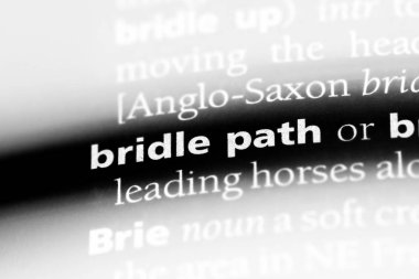 dizgin yol Word'de bir sözlük. dizgin yol kavramı.