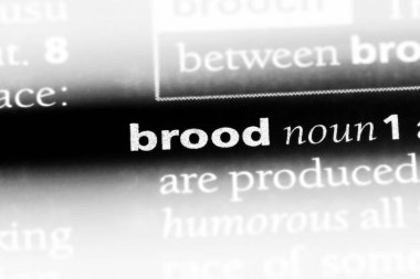 damızlık tek kelimeyle bir sözlük. damızlık kavramı.