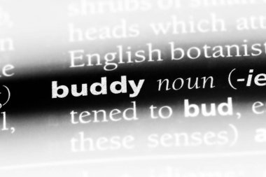 dostum tek kelimeyle bir sözlük. dostum kavramı.