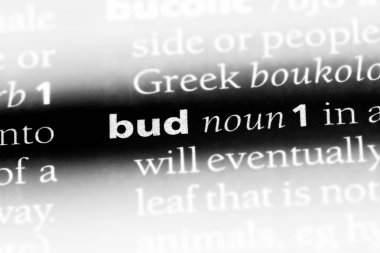Bud Word'de bir sözlük. kavramı.