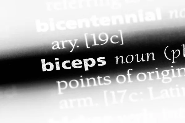 biceps word in a dictionary. biceps concept.