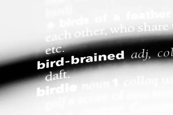 Bird Brained Word Dictionary Bird Brained Concept — Stock Photo, Image