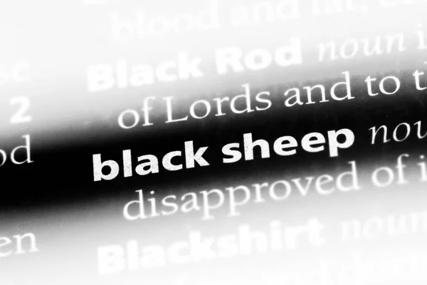 black sheep word in a dictionary. black sheep concept.