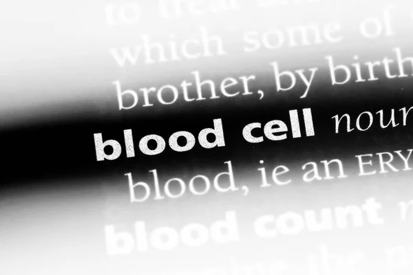 Palabra Células Sanguíneas Diccionario Concepto Células Sanguíneas — Foto de Stock