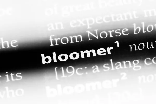 Bloomer는 사전에서 Bloomer — 스톡 사진
