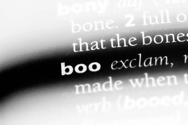 Palavra Boo Dicionário Conceito Boo — Fotografia de Stock