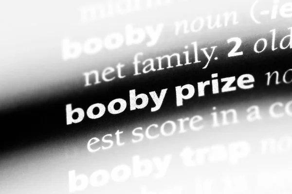 Parola Premio Booby Dizionario Concetto Premio Booby — Foto Stock