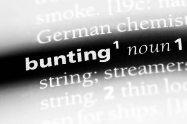 kiraz kuşu Word'de bir sözlük. kiraz kuşu kavramı.