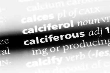 calciferous tek kelimeyle bir sözlük. calciferous kavramı.